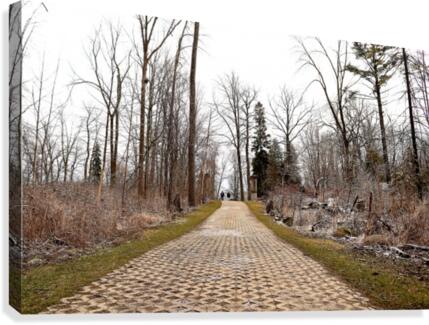 Trail Canvas Print