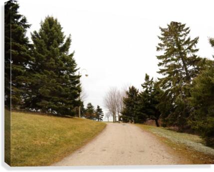 Pathway Canvas Print