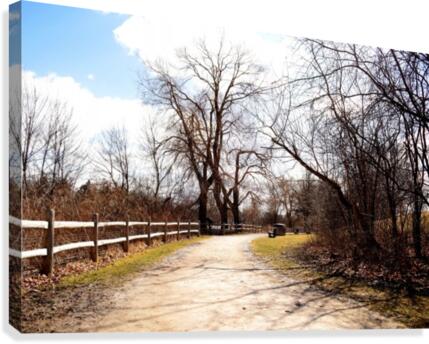 Srping Trail Canvas Print