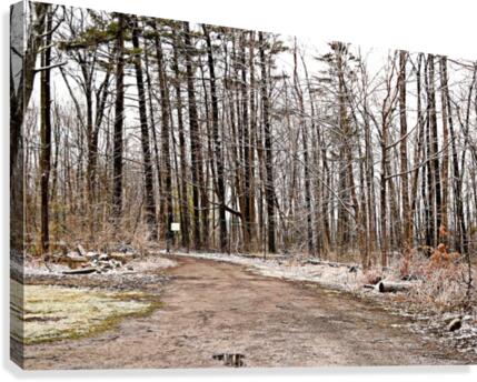 White Trail Canvas Print