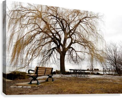 Reflect Canvas Print
