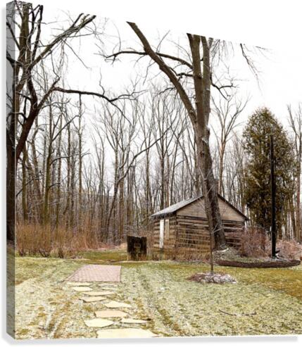 Cabin Canvas Print