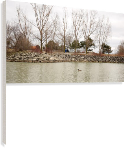 Lake Canvas Print