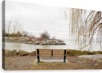 Contemplate Canvas Print