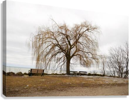 Reflect Canvas Print