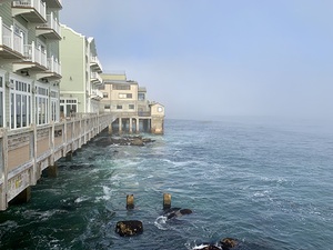 Foggy Bay