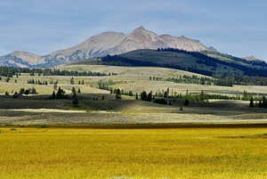 Electric Peak