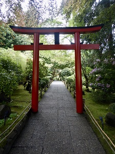 Enter the Peaceful Garden