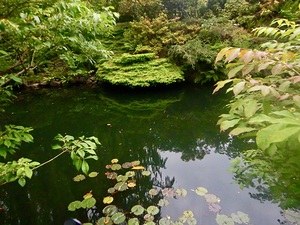 Peaceful