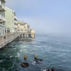 Foggy Bay
