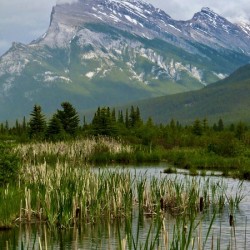 Banff
