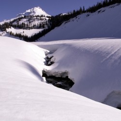Winter Reflection