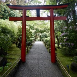 Enter the Peaceful Garden