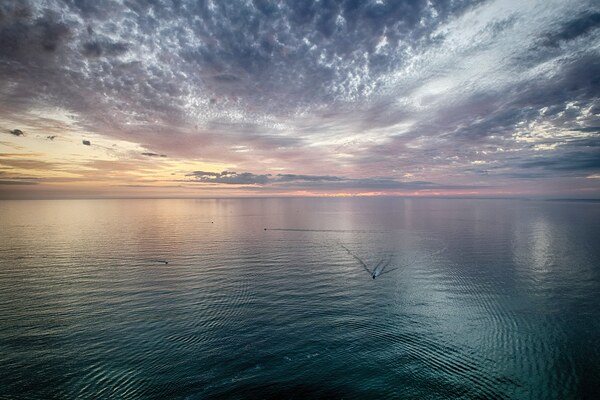 20240126 Jetty 5 by Sun Kissed Salt Photography