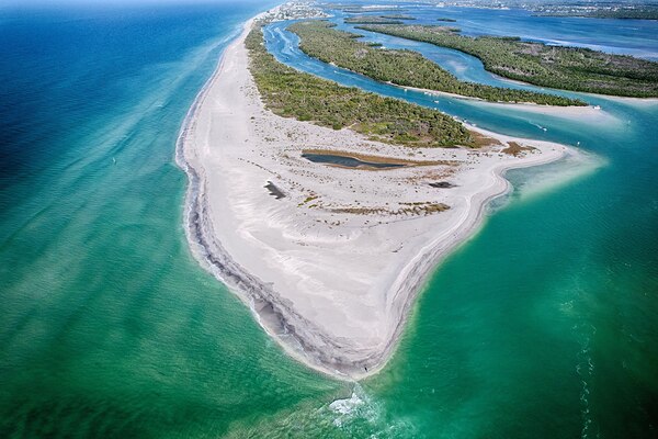 20240127 Stump Pass 3 by Sun Kissed Salt Photography