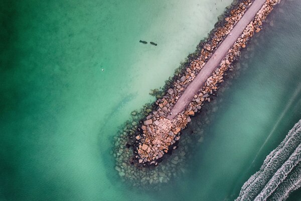 North Jetty Manatees   Casey Key by Sun Kissed Salt Photography