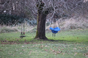 0I5A1354 tree swing