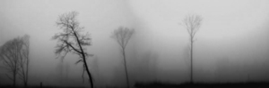 Mist