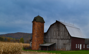 The Barn