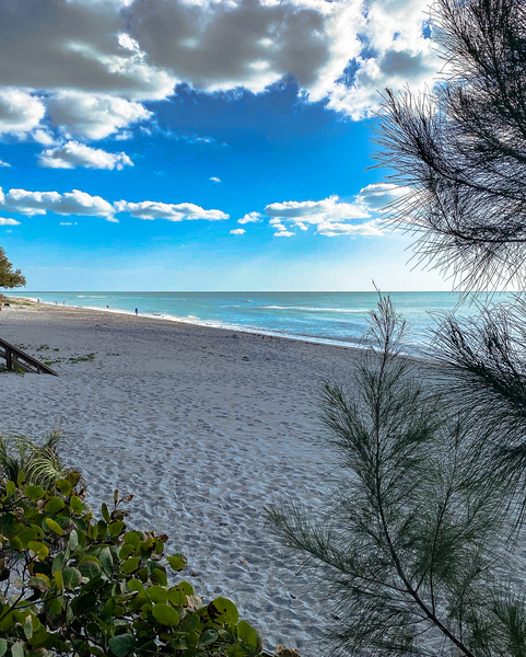 Manasota Key Print