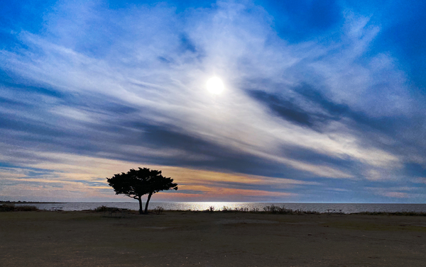 Pamlico Sound Print