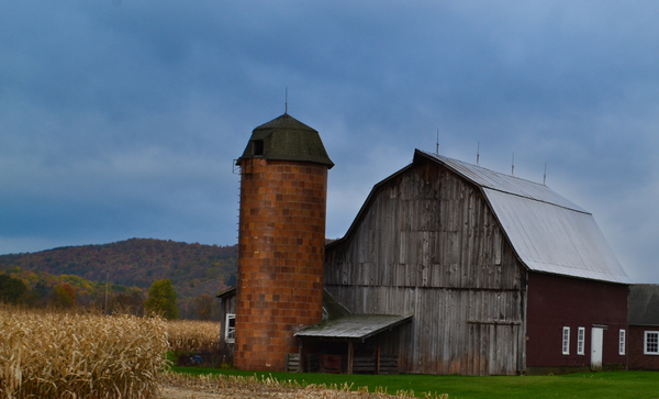 The Barn Print