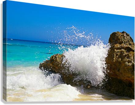 splash Canvas Print