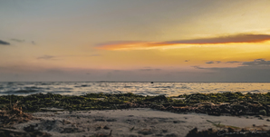 ©Charles Rain Photography