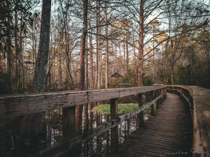 ©Charles Rain Photography