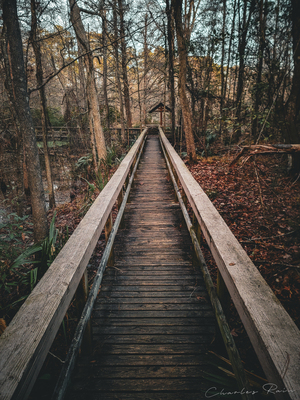 ©Charles Rain Photography