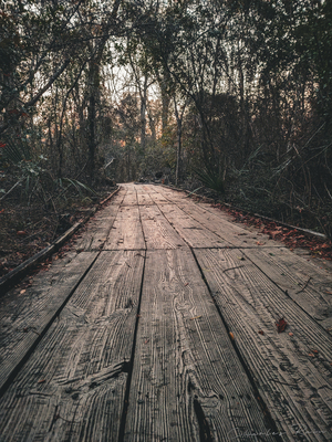 ©Charles Rain Photography