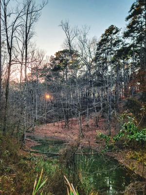 ©Charles Rain Photography