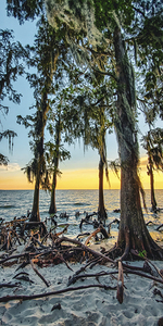 ©Charles Rain Photography