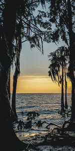 ©Charles Rain Photography