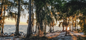 ©Charles Rain Photography