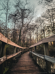 ©Charles Rain Photography