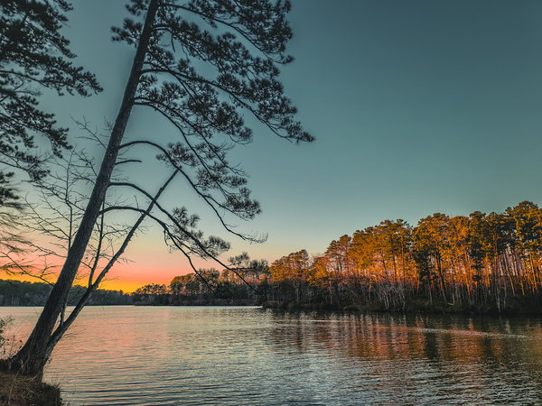 ©Charles Rain Photography Print