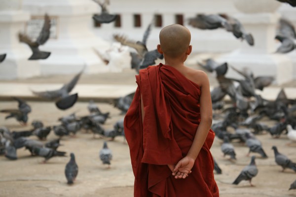 Monk feeding Birds - Myanmar 2369 by Move-Art