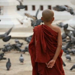 Monk feeding Birds - Myanmar 2369