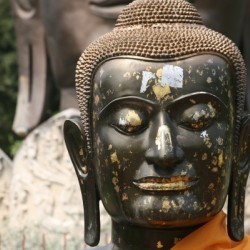 Buddha Head Black Gold 5531