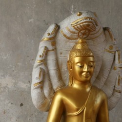 Buddha Head gold - Ayutthaya 5543