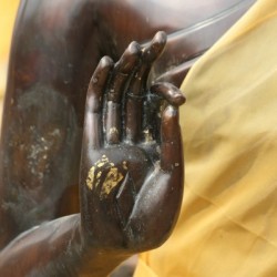 Black Buddha Hand - Ayutthaya 5558