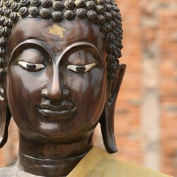 Buddha Head black - Ayutthaya 5563