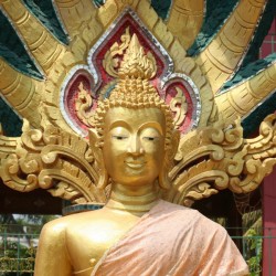 Golden Buddha - Laos  5761