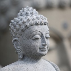 Buddha Head Stone white 8544