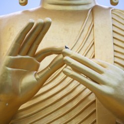 Big Buddha gold with Bird 8871