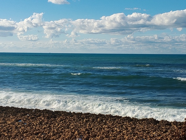 The Beauty of the Sea Print