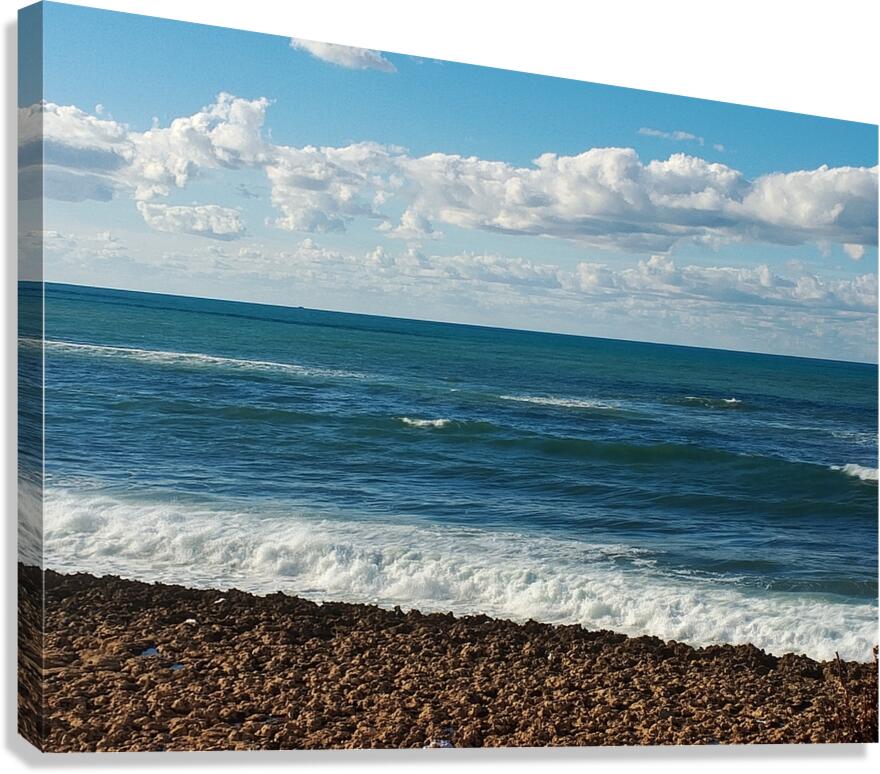 The Beauty of the Sea Canvas Print