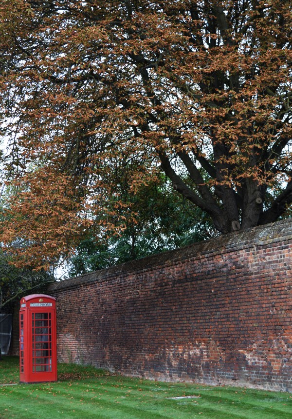 Telephone Box Print