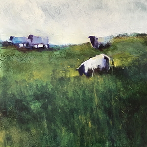 Irish Sheep